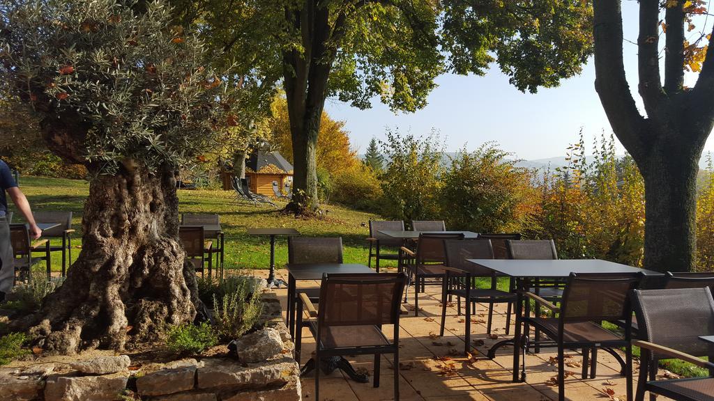 Vitalhotel Koenig Am Park 3*