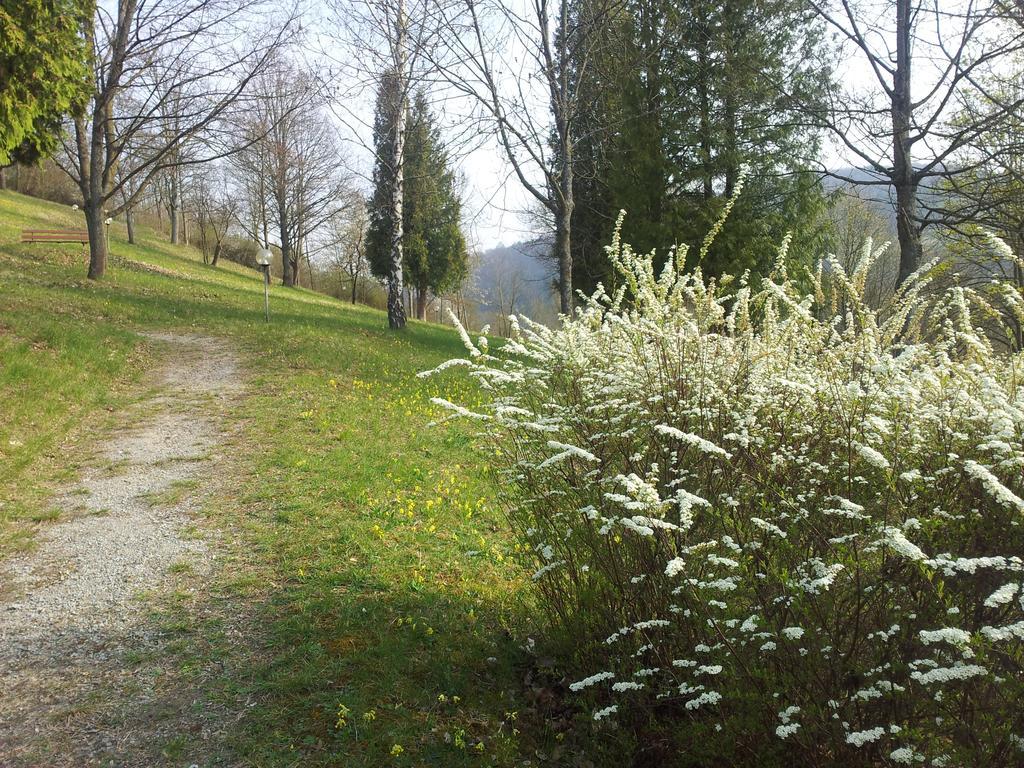 Vitalhotel Koenig Am Park Hotel